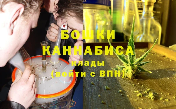 ПСИЛОЦИБИНОВЫЕ ГРИБЫ Елизово