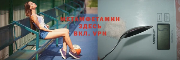 индика Елабуга