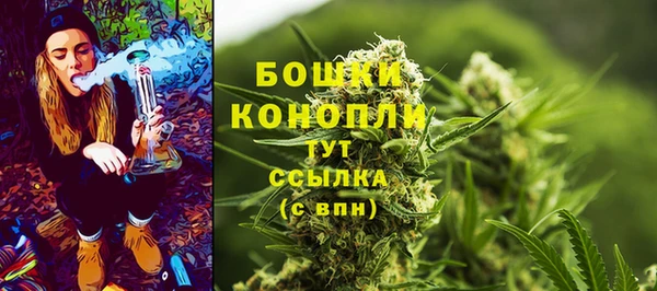 соль ск Заводоуковск