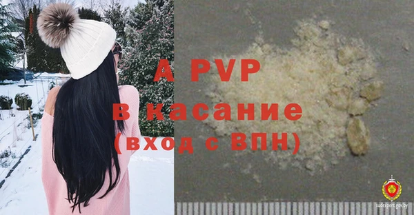 ПСИЛОЦИБИНОВЫЕ ГРИБЫ Елизово