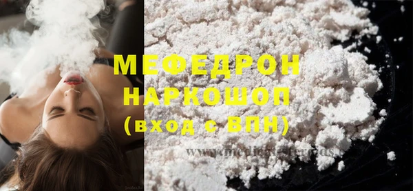 индика Елабуга