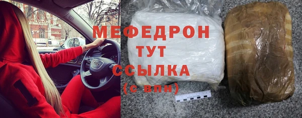 индика Елабуга