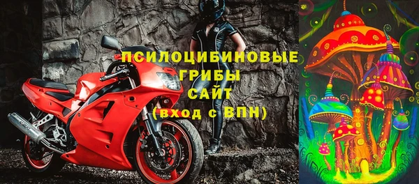 соль ск Заводоуковск