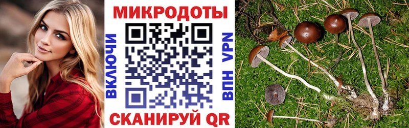Купить закладки  Нижняя Тура  Псилоцибиновые грибы Cubensis 
